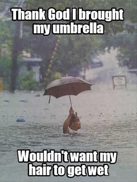 Amazing Funny Rain Quotes of all time Don t miss out 