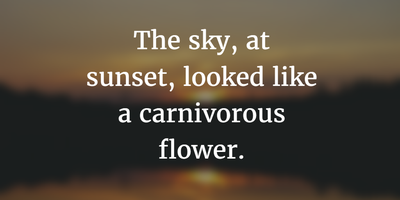 22 Cute Sunset Quotes To Express The Beauty Of It Enkiquotes