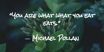 In Defense Of Food Quotes To Improve Your Health Conscious - Enkiquotes