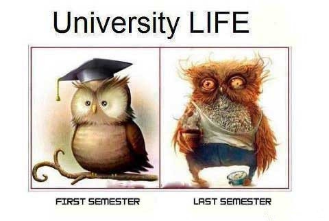 Funny Quotes on College That Will Make You Laugh - EnkiQuotes