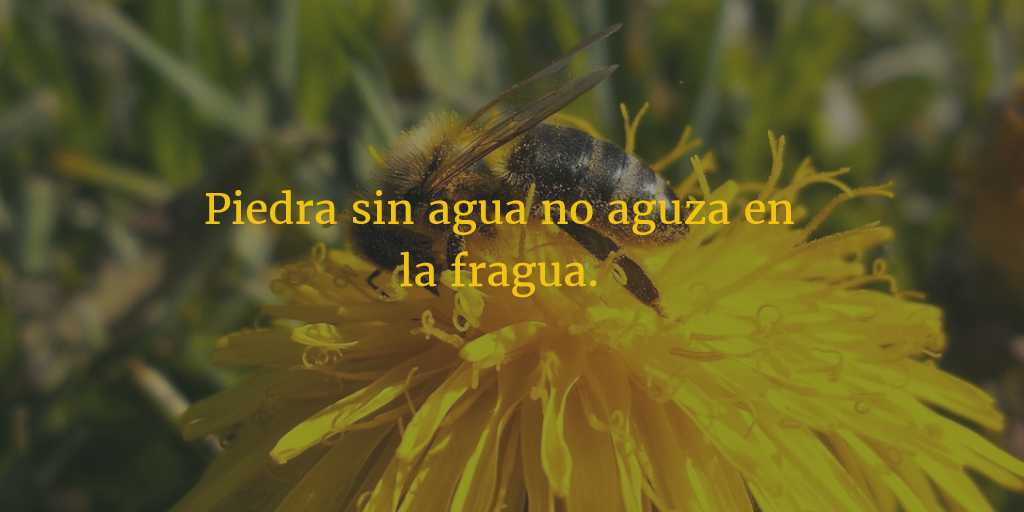 209 Best God Quotes In Spanish Images Quotes About God Quotes