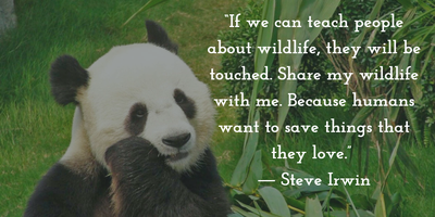 Quotes on Wildlife Conservation to Think Over - EnkiQuotes