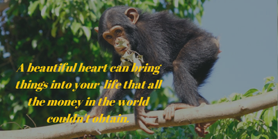 Top 25 Encouraging Beautiful Heart Quotes - EnkiQuotes.com