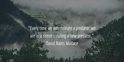 Quotes About Predator And Prey You D Like To Give A Read Enkiquotes