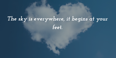 The Sky Is Everywhere Quotes For Teens And Young Adults - 