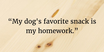 20 Funny Homework Quotes That Will Make You Laugh Hard - EnkiQuotes