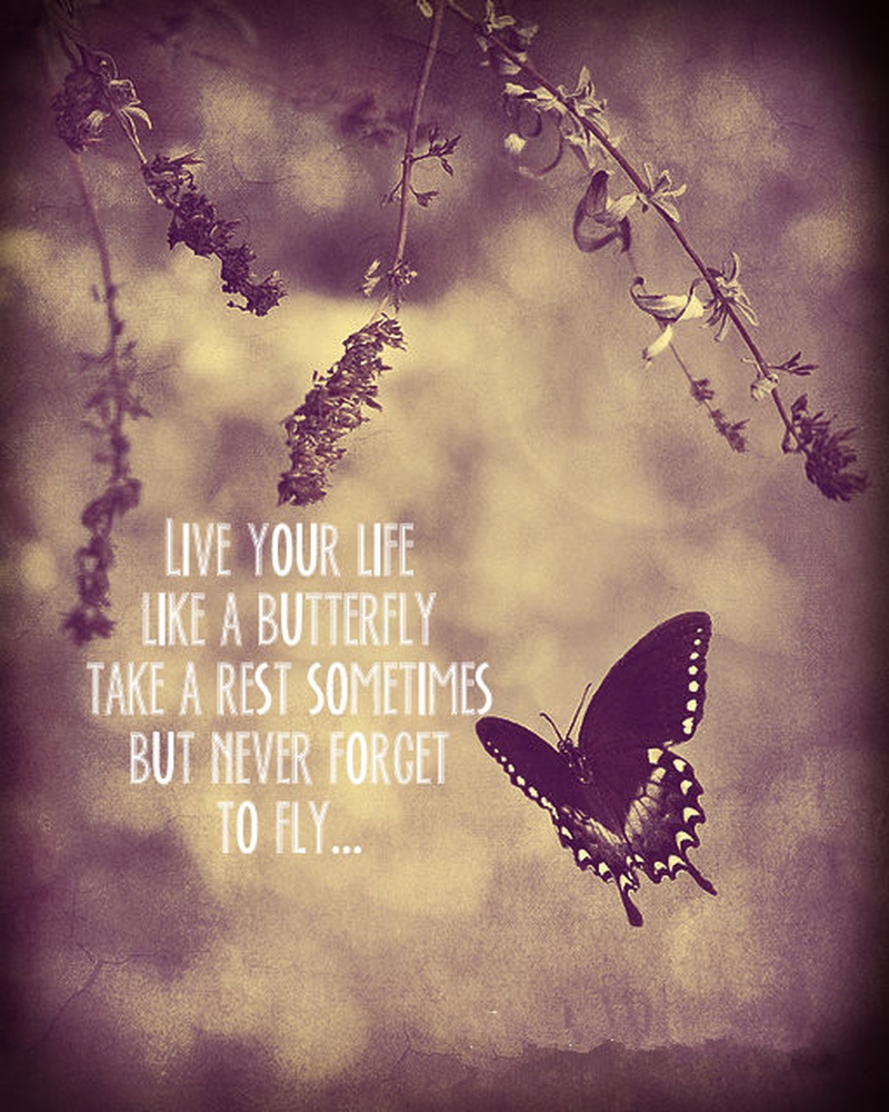 life is like a butterfly quote quotes to inspire you take a break now enkiquotes