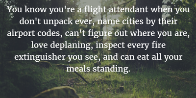 25 Hilarious Flight Attendant Quotes To Entertain Your Flight