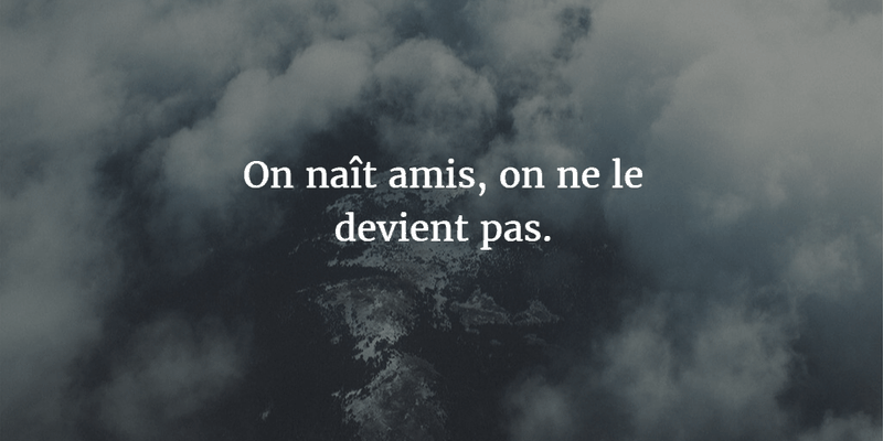 French Quotes About Friendship Impressive Memorable French Quotes About Friendship Enkiquotes French Quotes About Friendship Mesmerizing Memorable French Quotes About Friendship Enkiquotes