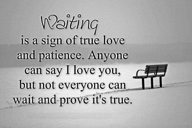 Quotes About Patience And Love We Should Remember